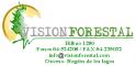 Vision Forestal